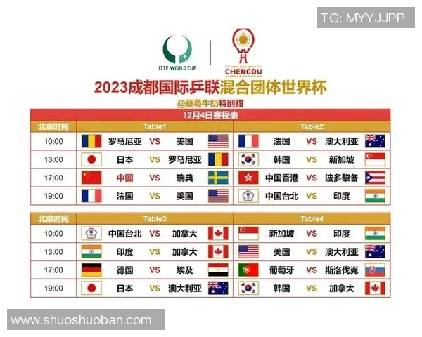 成都乒乓球队个人能力分析与发展潜力探讨