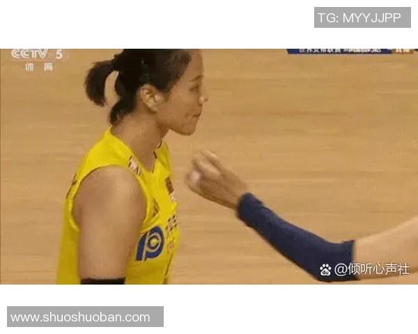 西安排球队个人能力分析与排球战术的深度结合探讨 西安排球队个人能力分析与排球战术的深度结合探讨