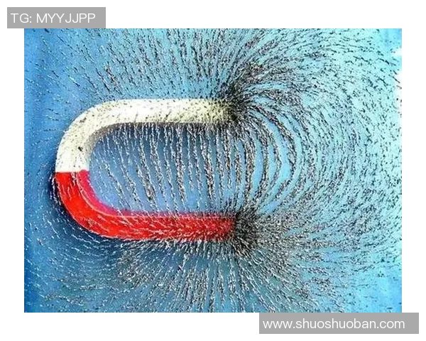 王强独家揭秘羽毛球技巧与心得分享助你提升球技的秘密宝典