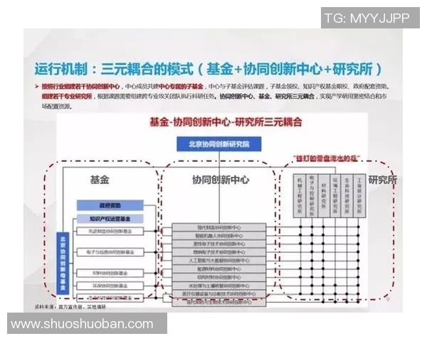 北京排球队团队协作新模式探讨与热议引发的变革之路