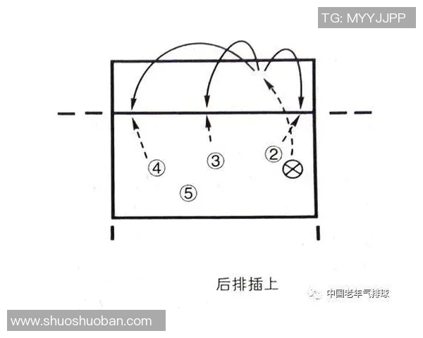 杭州排球队战术表现深度分析与数据解读探讨
